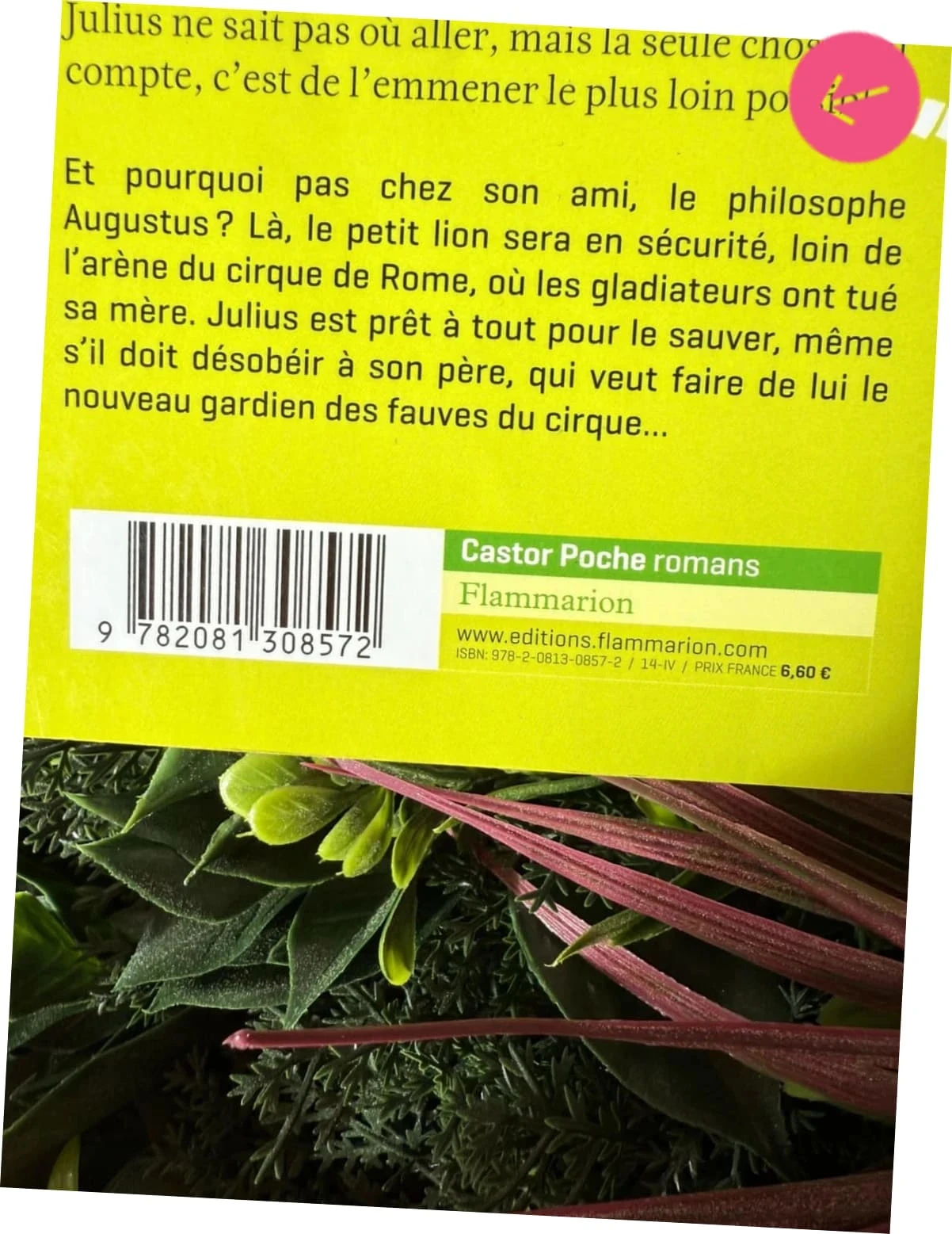 Livre pour le collège, le Lion de Julius – photo 7